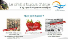 Climat